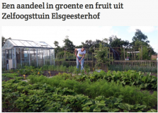 Zelfoogsttuin